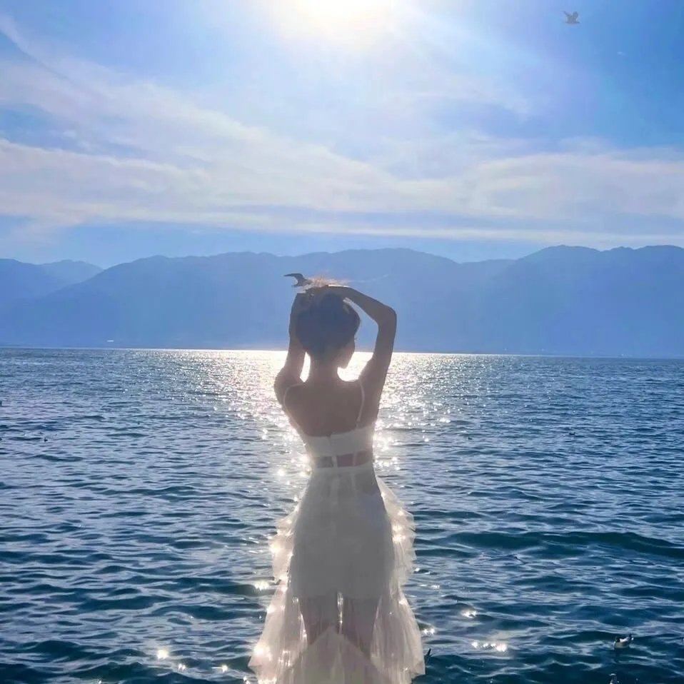 波尼龙的异想世界